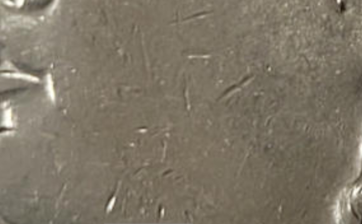 1900-$1-Morgan-Dollar-#3